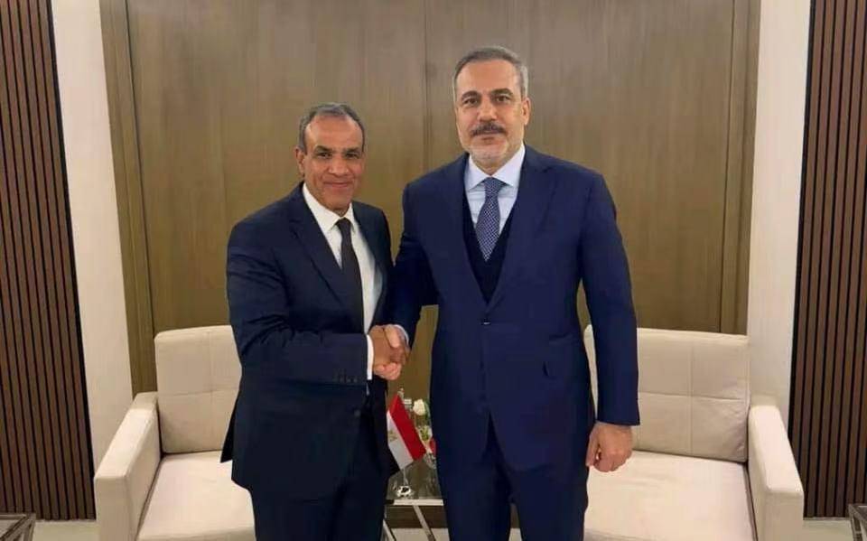 埃及外长同土耳其外长就地区局势举行会谈