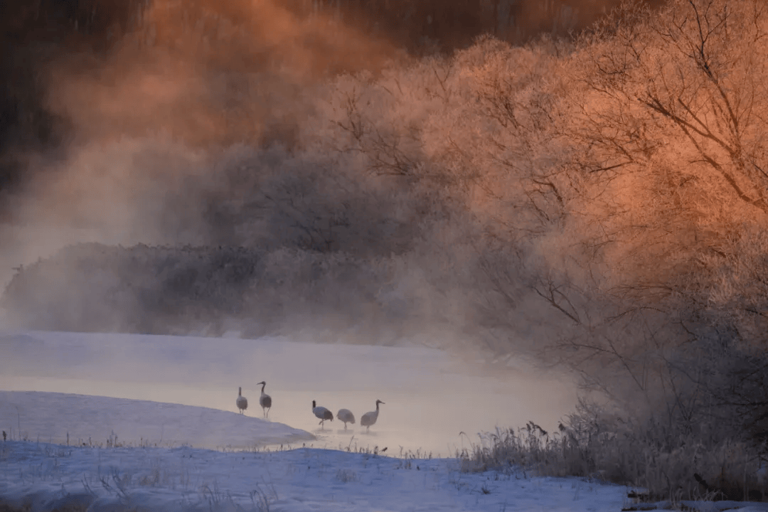 2024年上海国际 "郎静山摄影艺术奖" 慈善摄影大赛获奖作品欣赏