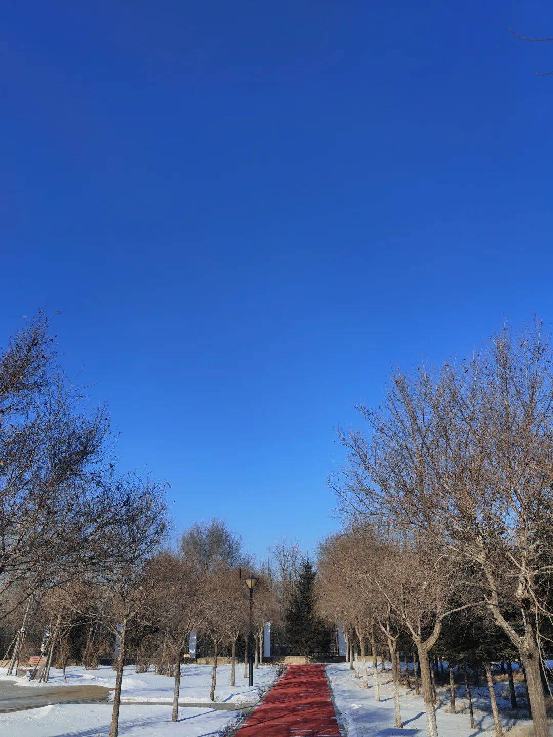 明天夜间有小阵雪天气
