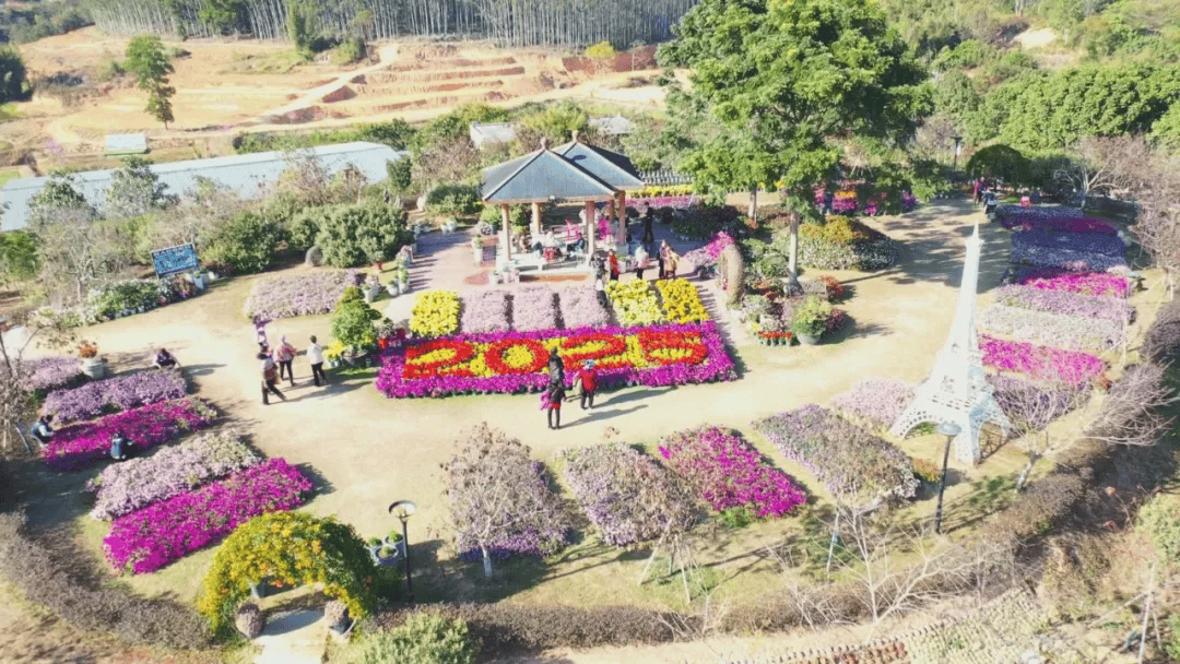 6686体育平台揭阳：鲜花盛开景宜人 文明赏花树新风(图1)