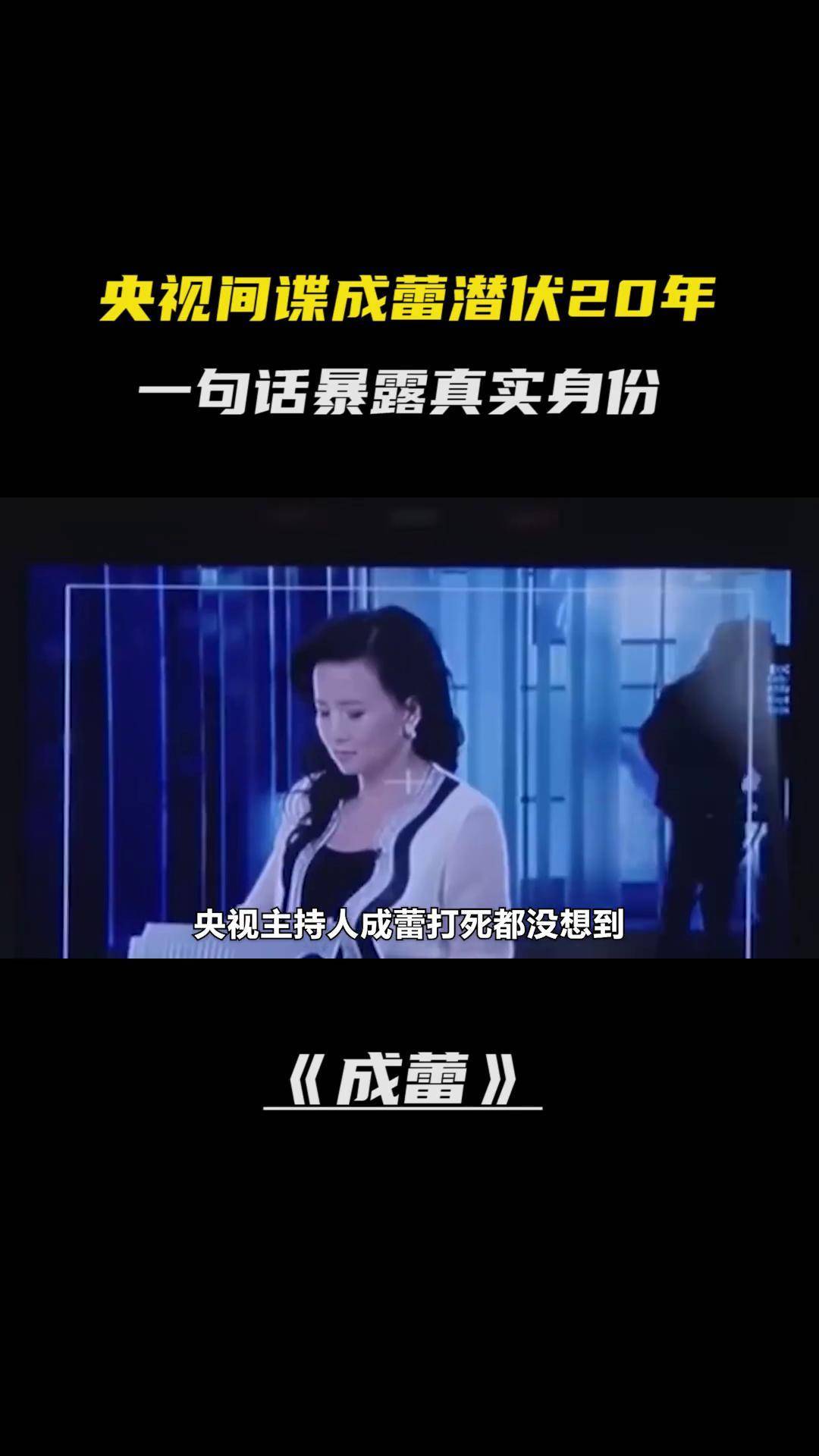 关于央视电视台间谍的信息