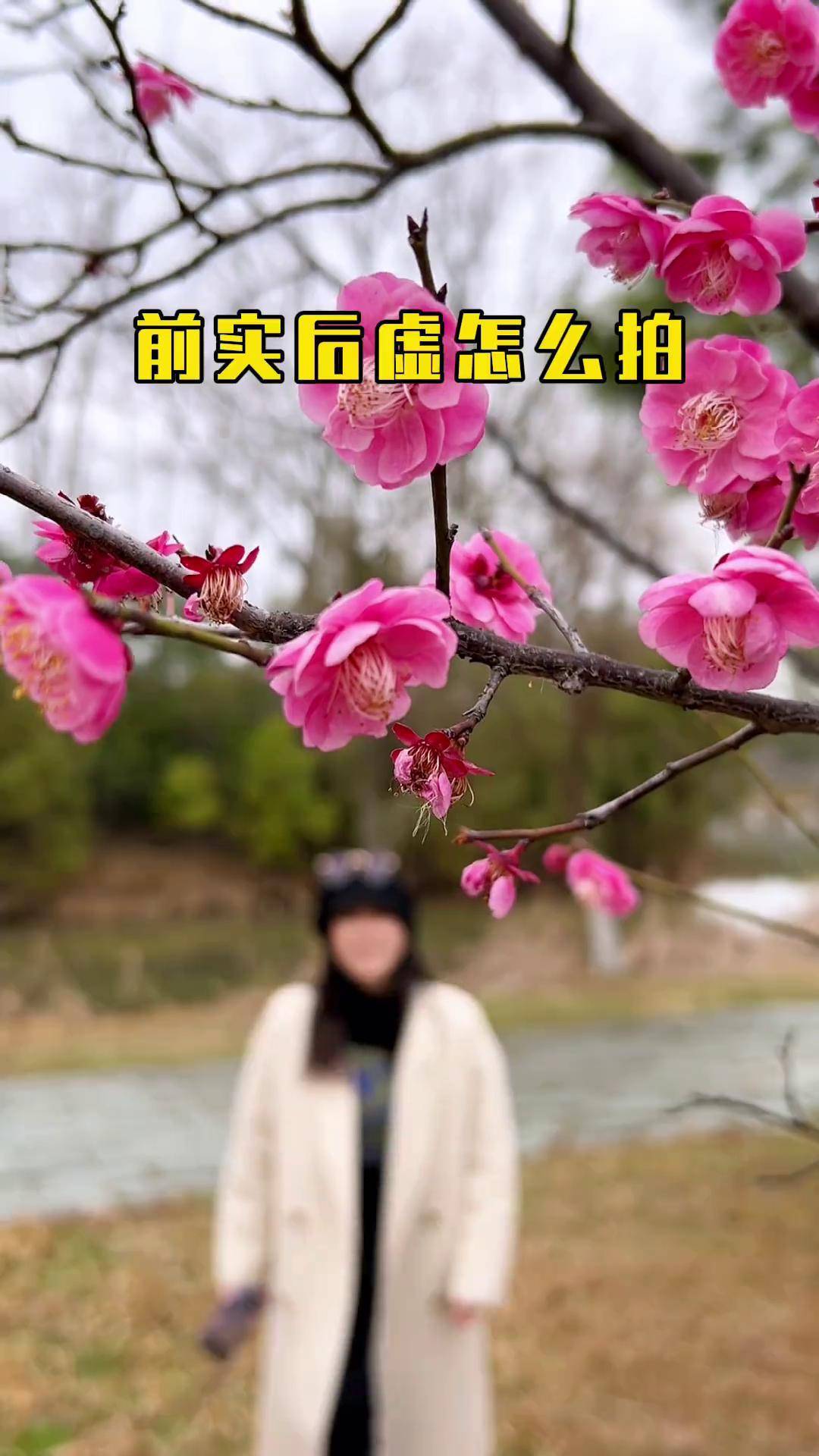仿拍摄影教程简单易学，技巧大全