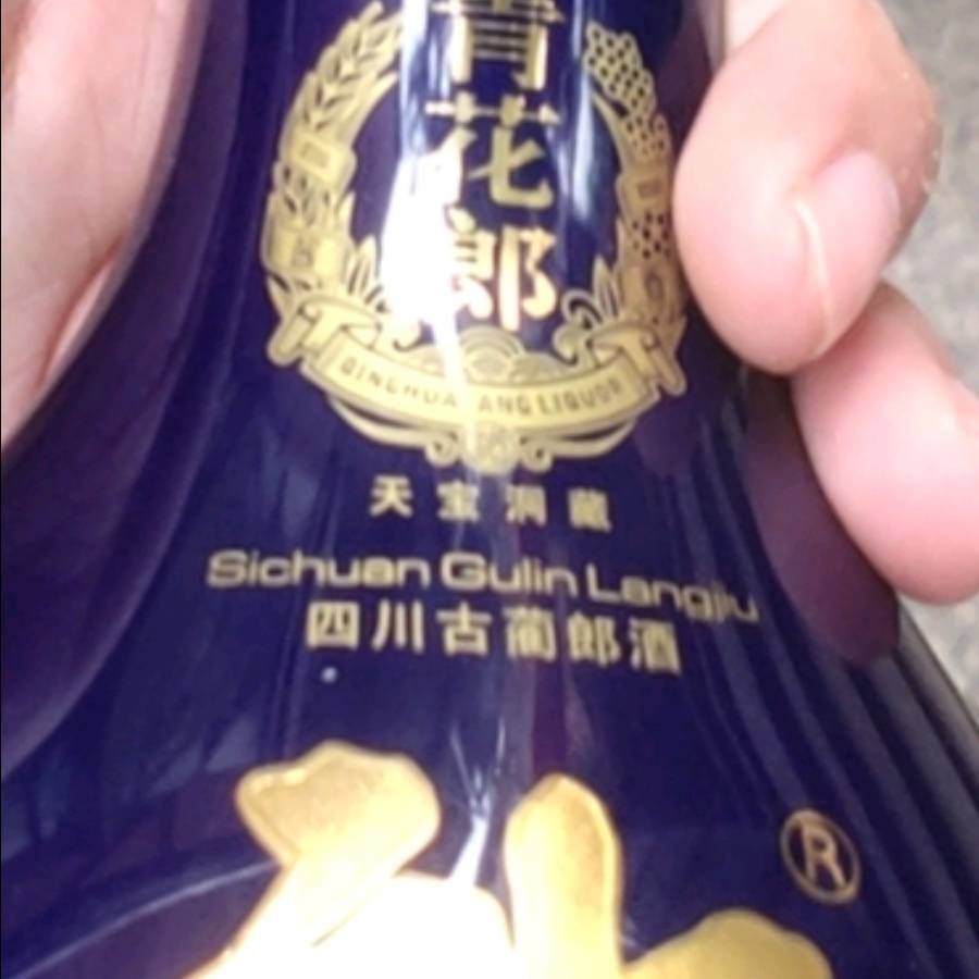 罗长远游世界