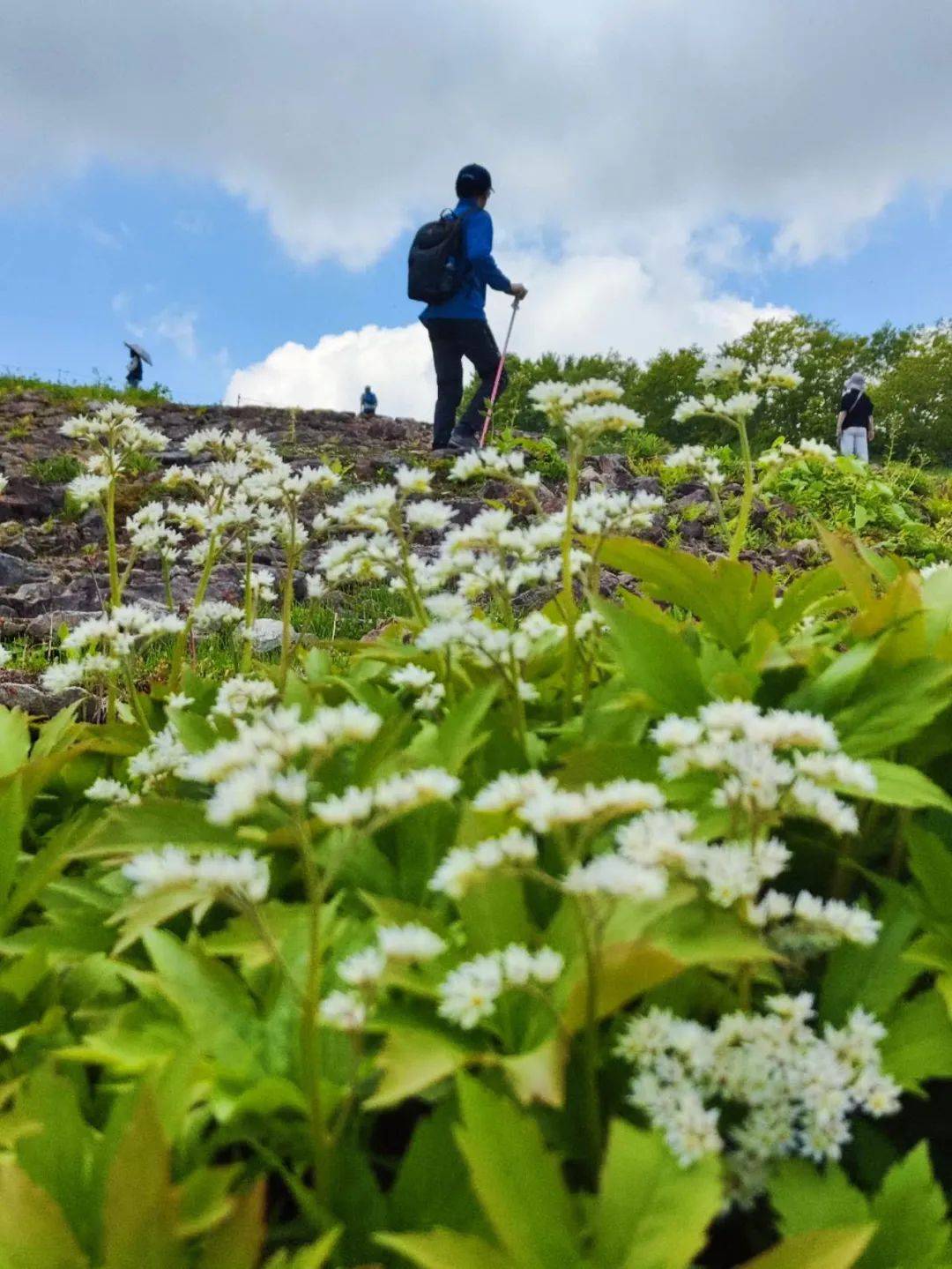 图片[11]-30岁放弃高薪，我在雪山村庄做“吉祥物” -华闻时空