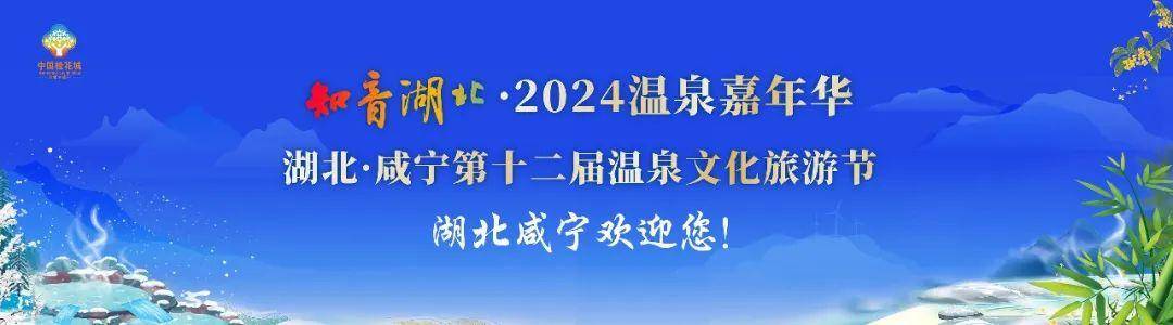 崇阳县人民医院原党委书记张祖德接受审查调查