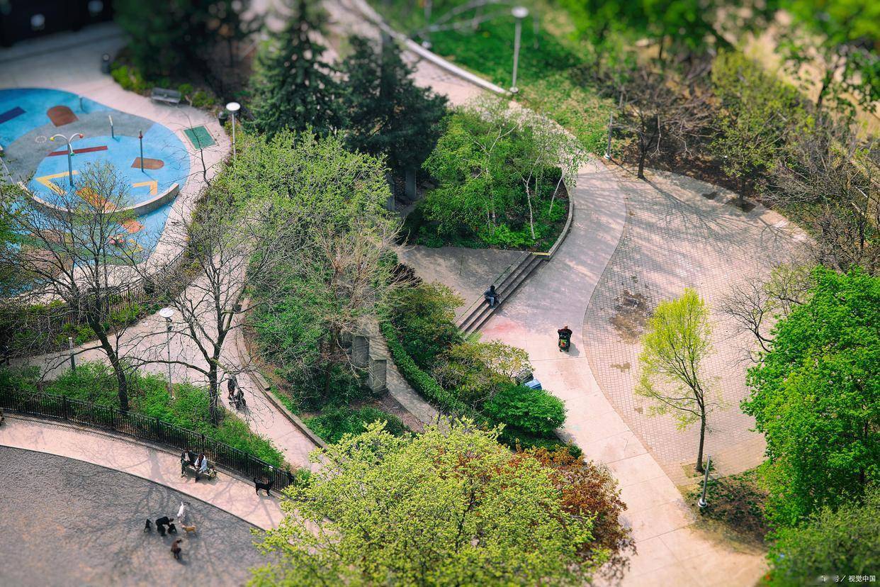 大连星火街山体公园:探秘城市中的梅花鹿群