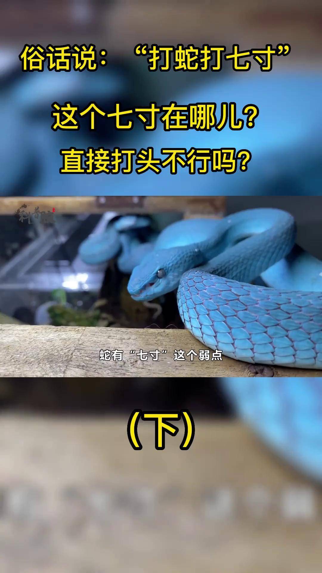 俗话说:"打蛇打七寸",这个七寸在哪儿?直接打头不行吗?