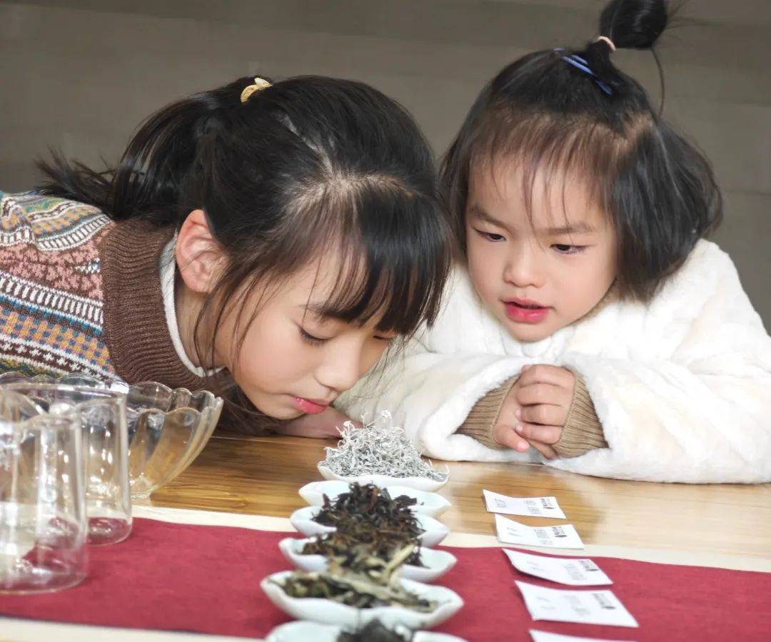 国茶六味体验课：春节期间的茶艺学习机会，新春特辑：国茶六味体验课活动详情