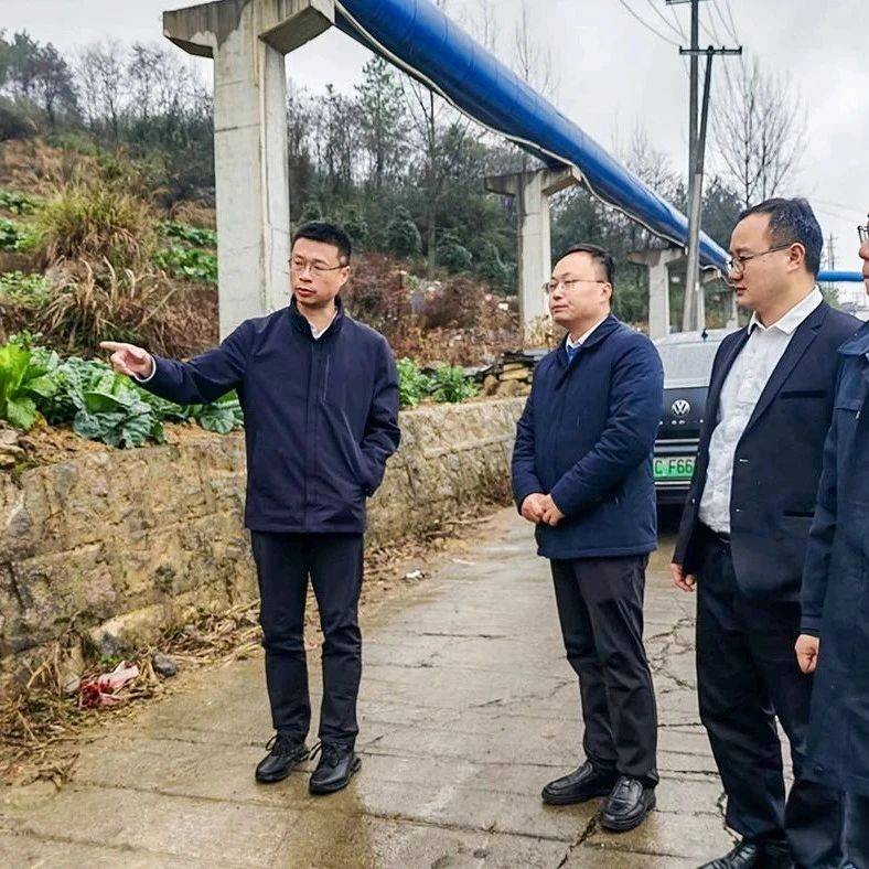 张红兵到鸭溪镇督导检查安全生产、道路交通、森林防火等工作_人民_车多