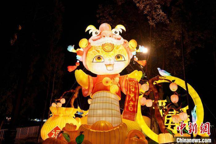 新春见闻）2025成都大庙会主题灯展试灯(图2)