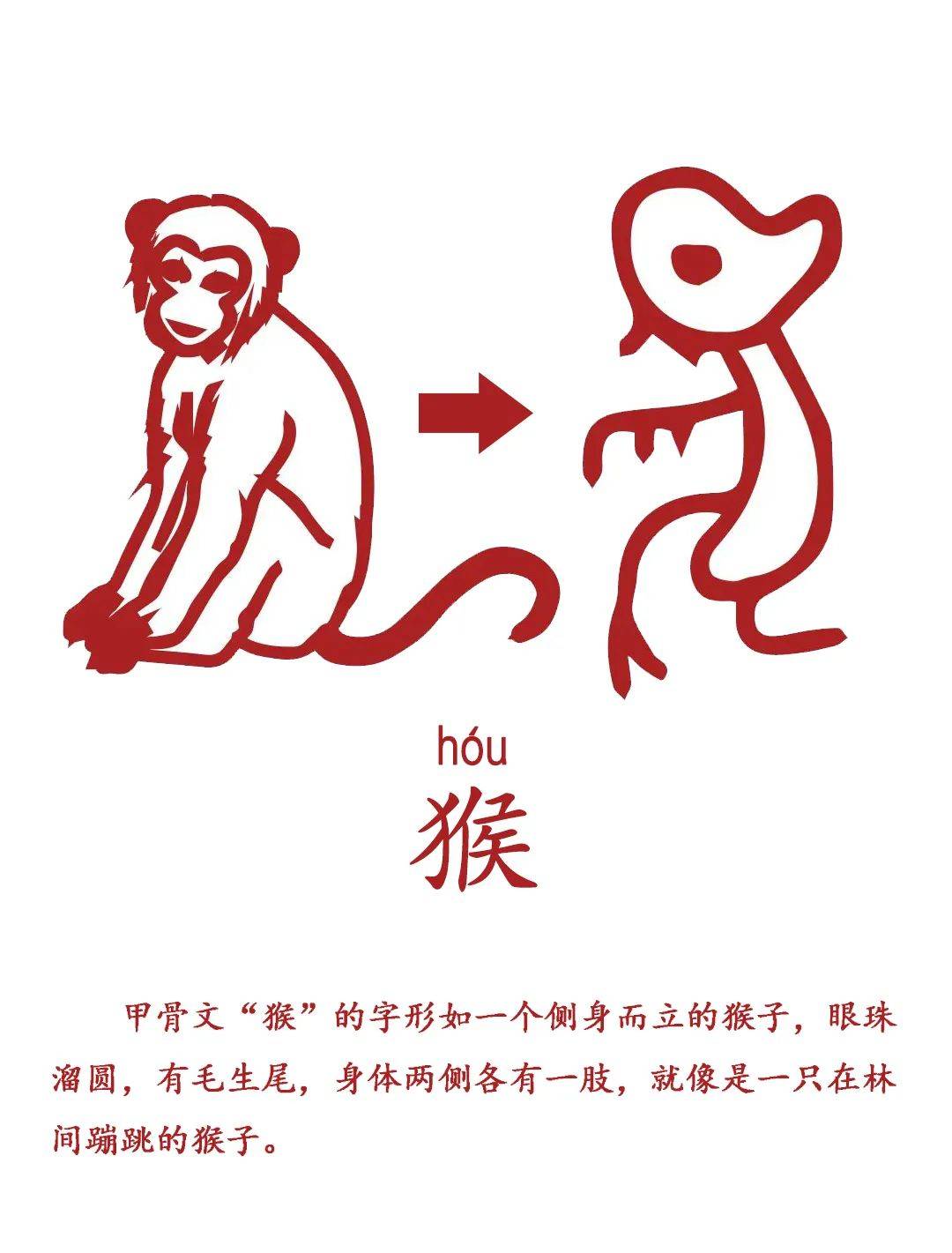 古字代表什么动物