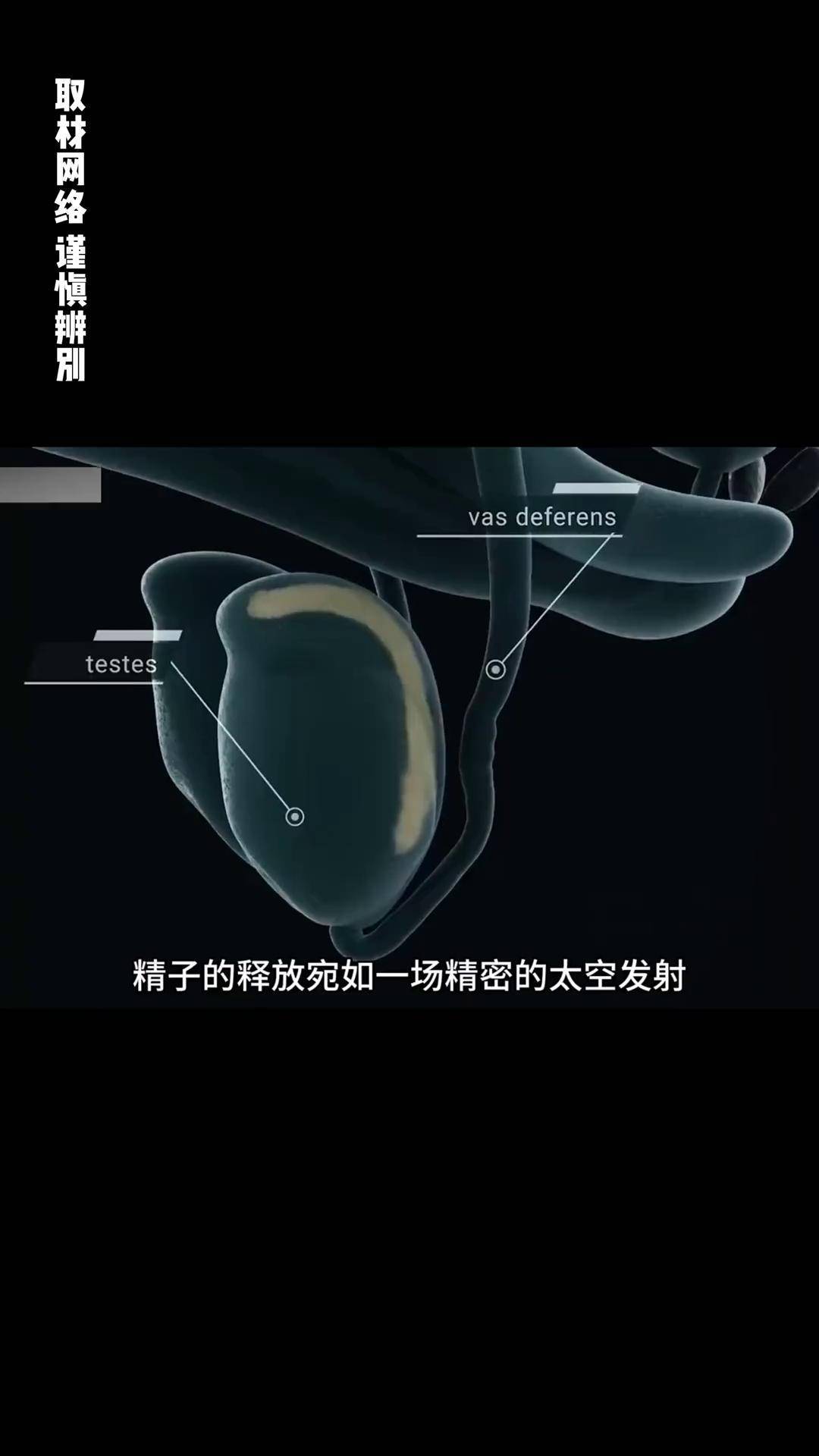 包含男生为什么射的很快的词条