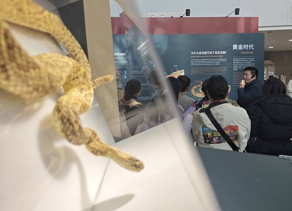 大年初一,在自然博物馆偶遇“申城地头蛇” | 金蛇趣谈③ 大年初一,在自然博物馆偶遇“申城地头蛇” | 金蛇趣谈③