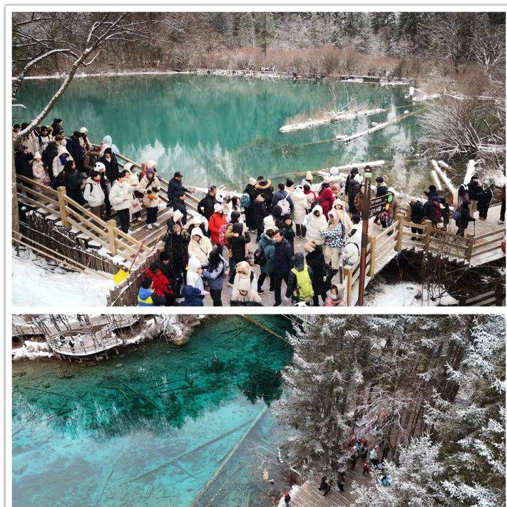 天下九寨沟 大美阿坝州 | 冬雪迎新春，欢乐过大年，九寨沟游客达到淡季最大容量_景区_旅游_门票