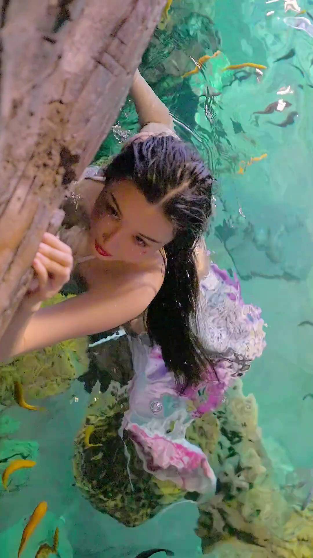 人鱼上岸🧜‍️ 美人鱼 晨曦小姐姐 水下摄影人鱼bin 客片分享