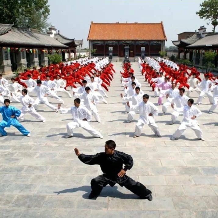 句图百科 | 世界非遗看中国:太极拳——中正圆活 刚柔并济_传承_文化_流派