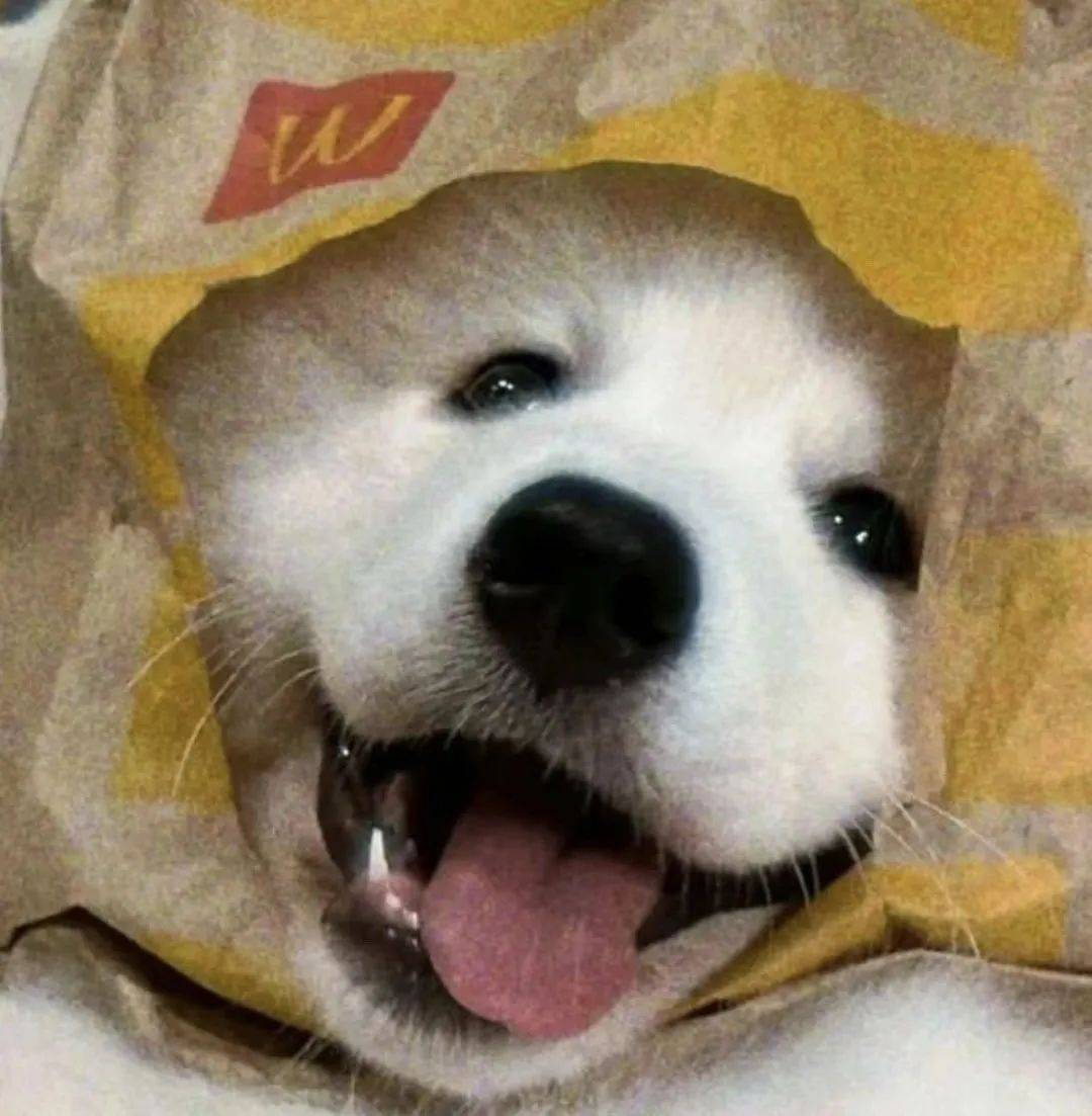 头像拒绝不了的头像