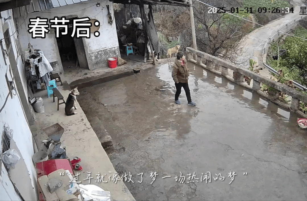 im电竞下载“绷不住了”一组监控意外爆火网友直呼泪目(图2)