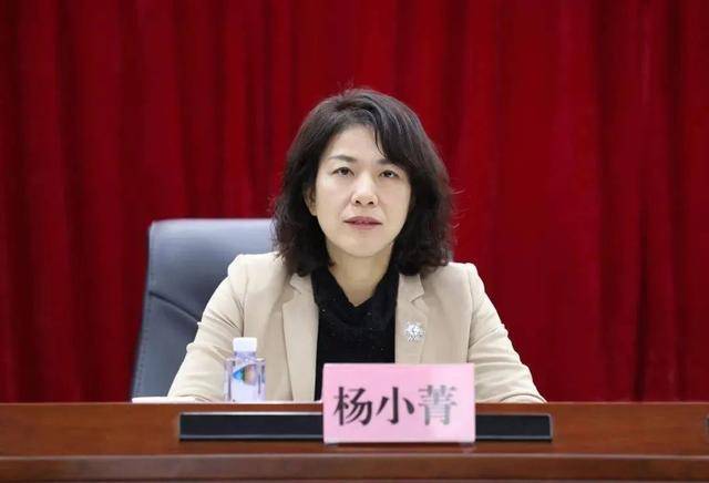 跨省履新4个月后，杨小菁拟晋升市委书记