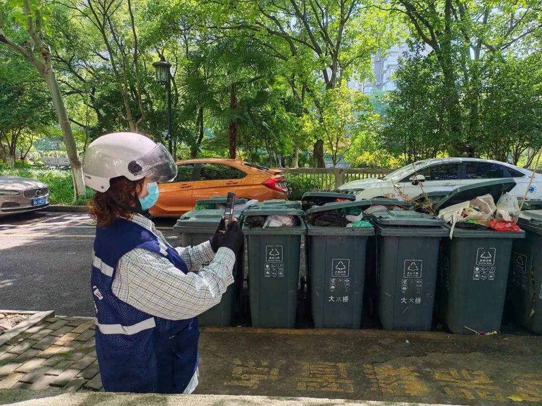 蛇年启程城市家果博具焕新颜(图7)