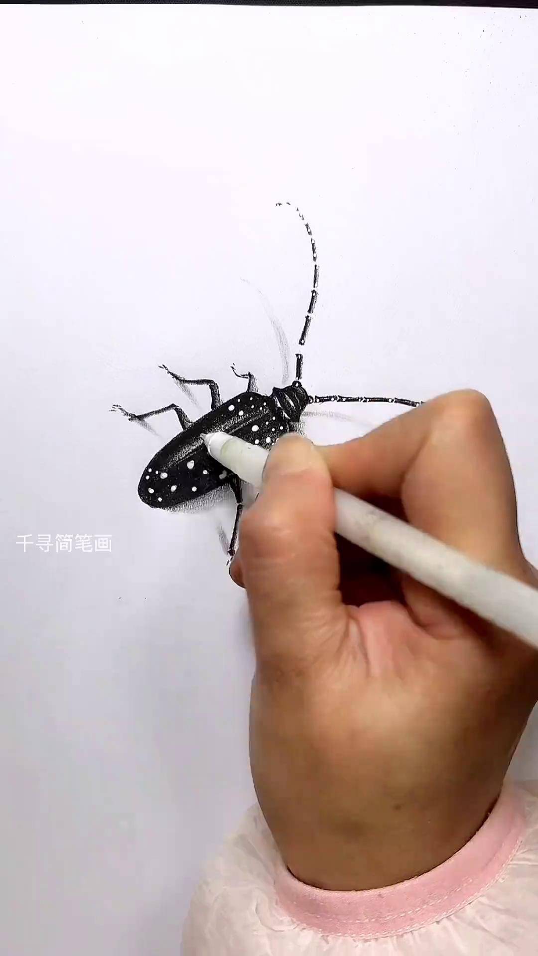 简单画天牛,你们那里叫啥名儿炭笔画