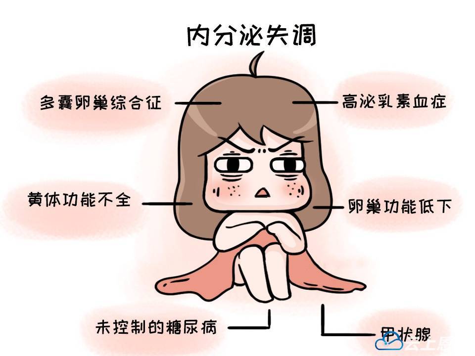 来自搜狐网