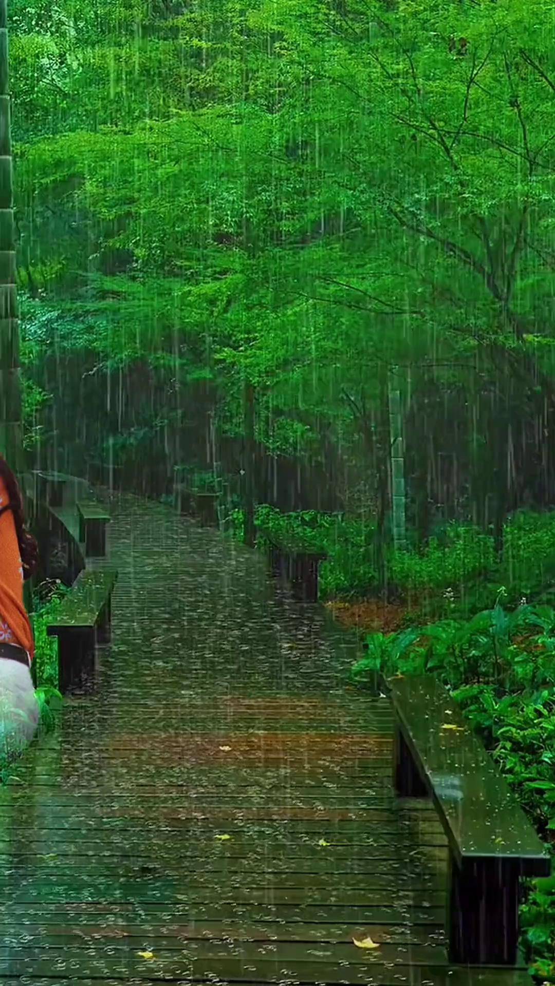 我一个人在雨里有谁知道我在等你 愿你天黑有灯下雨有伞 雨中飘荡的