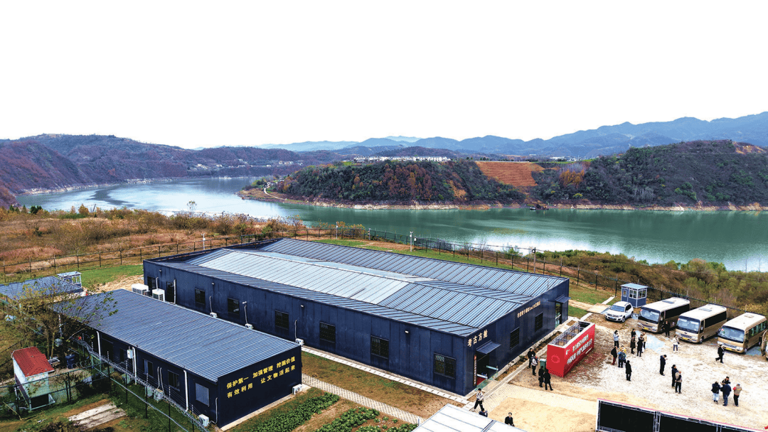 服务湖北加快建成支点访谈丨郧阳区委书记,区长梅华:实干快干竞进有为