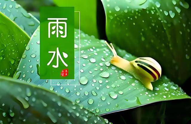 雨水时节，养生美食大赏，雨水节气：美食与养生的完美结合