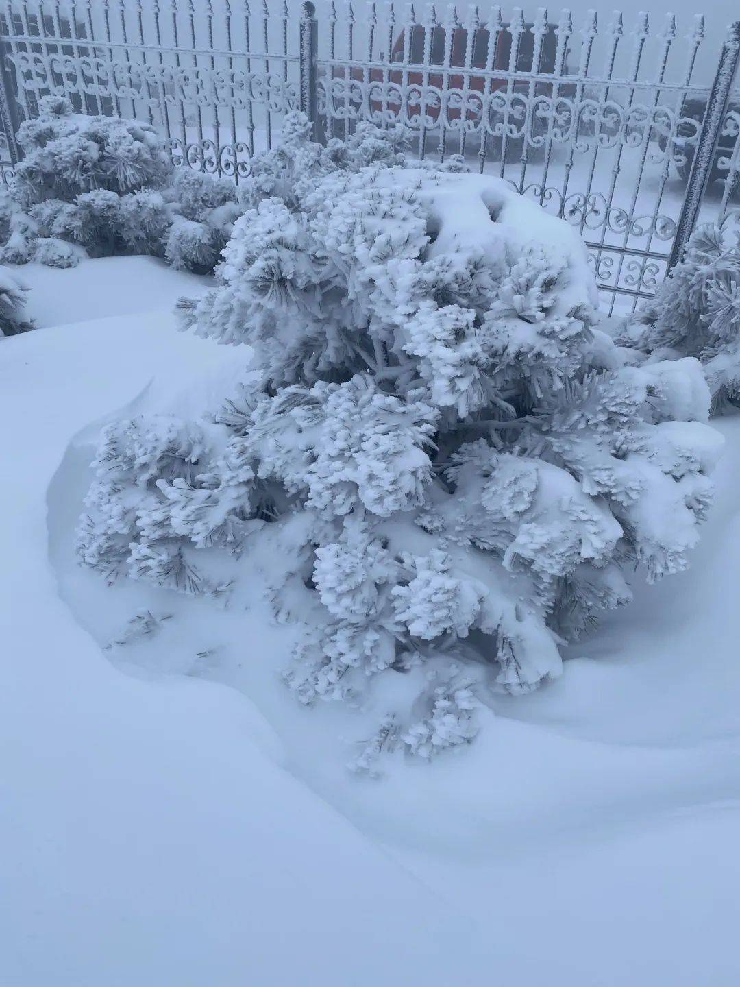 零下7℃！大到暴雪！剛剛確認：杭州又來一波猛的！周末出門千萬注意.....