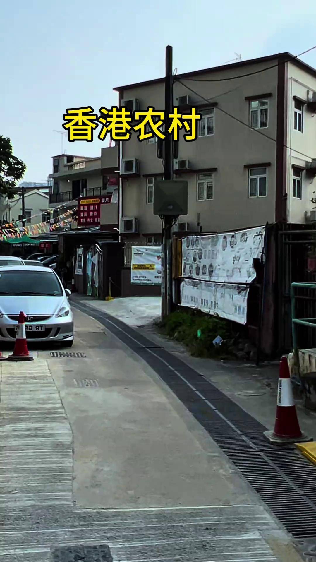 这是香港的围村,村里基本一个姓氏,有祠堂有村长,建两三层楼要有丁权