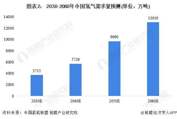 地方政府助力：中国氢能产业的快速发展之路，中国氢能产业：在“双碳”目标下的崛起