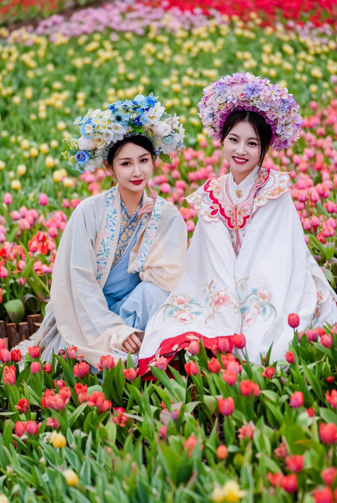 郁金香代表的女人