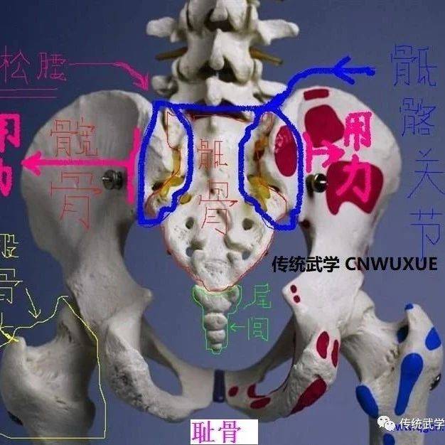 传统武术步型与步法_身体_着地_重心