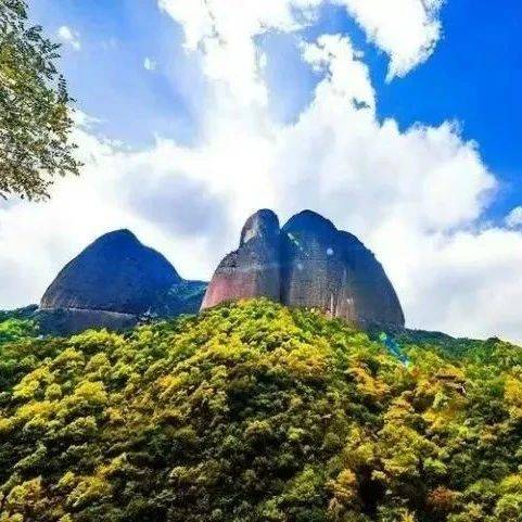 【文化中国行丨解码武山摩崖石窟文化】笤刷子树与火棍树的本名_旅游区_膀胱_干枝