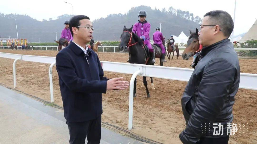 人大代表杨凯:打响"贵州村马"ip品牌,竞速文旅新赛道