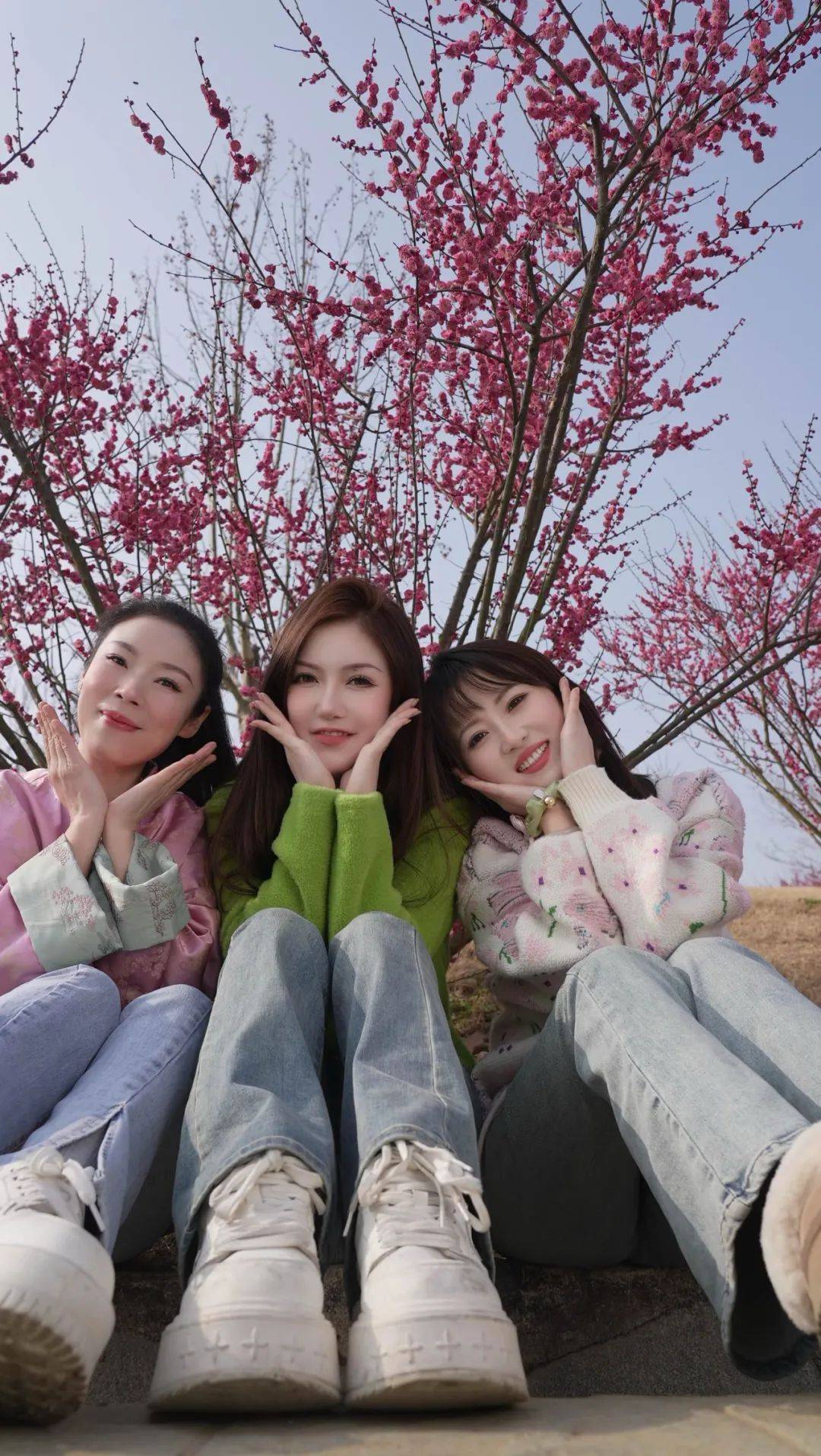 桃花源拍梅花,这么拍才更美!