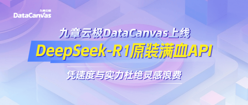 九章云极DataCanvas上线DeepSeek-R1原装满血API