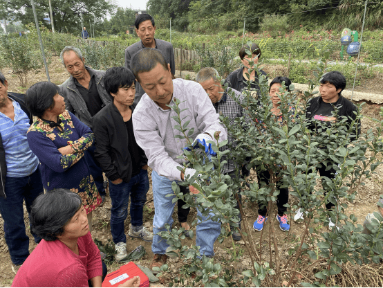 奔走于"莓"好之路 浙江师范大学郭卫东