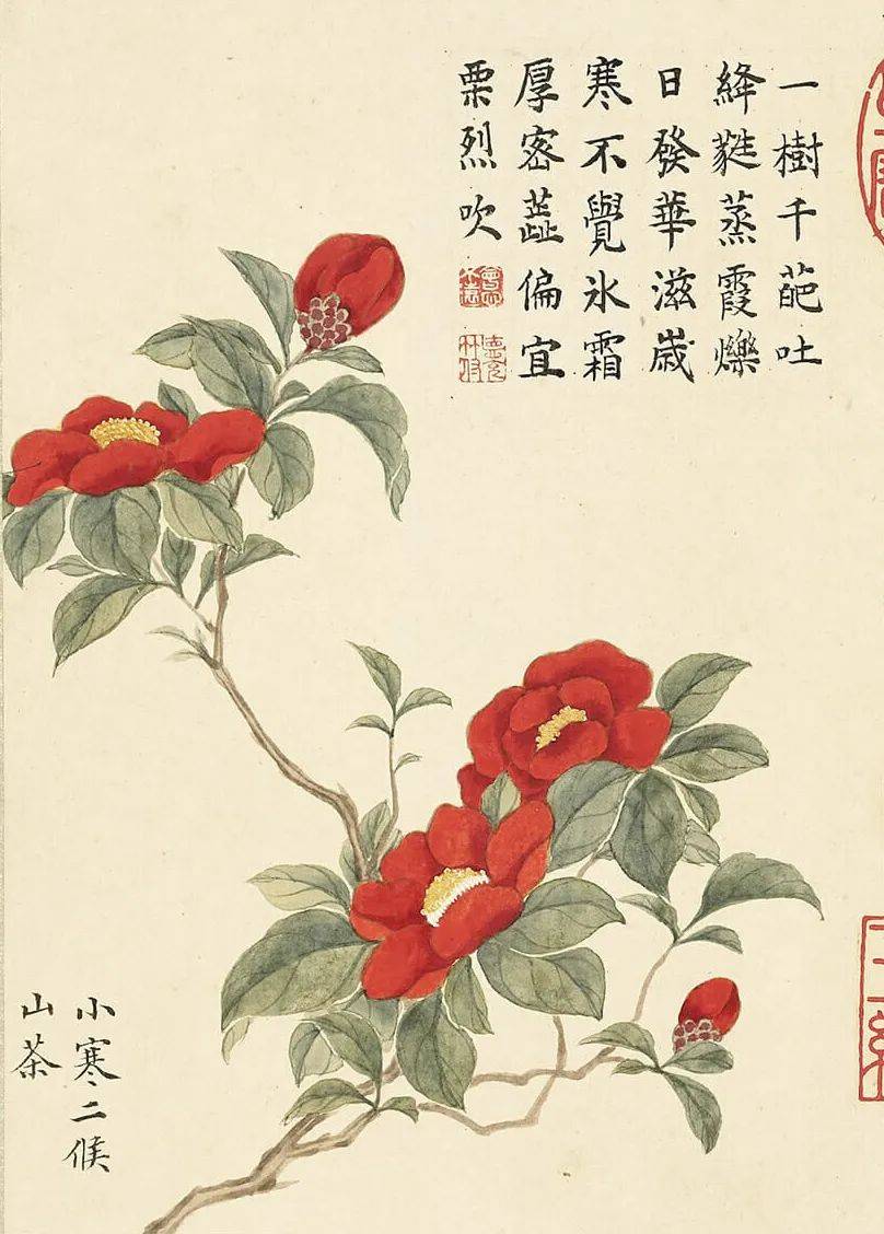 清代画家董诰笔下的花卉画,春意盎然