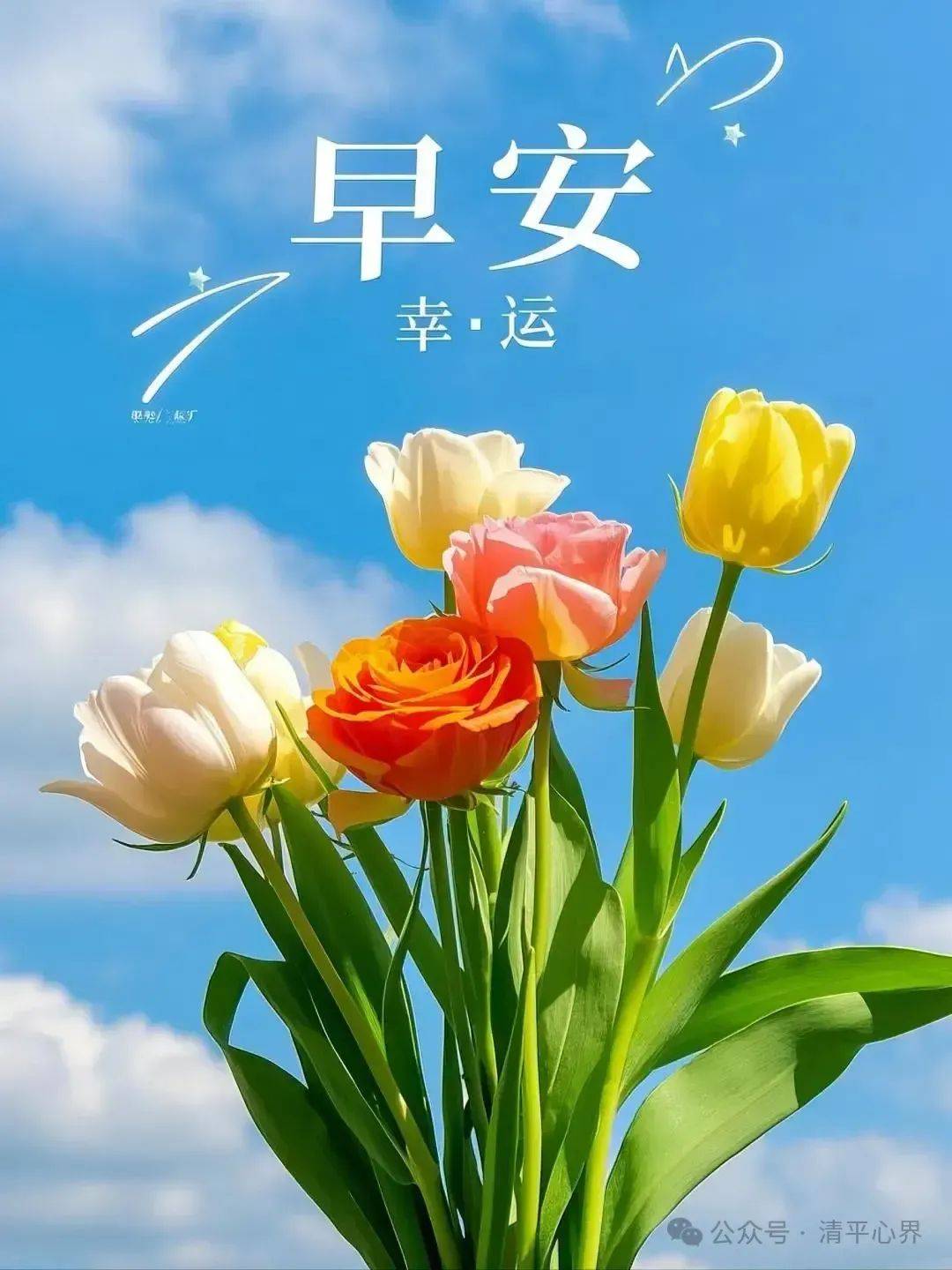 3月5日新版早上好祝福美图合集暖心问候祝福语幸福花开好运自来