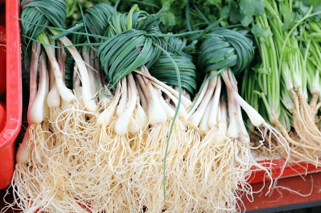 野葱像葱,根像藠头山坡土坎到处都能看到野葱的身影小时候在田野间疯