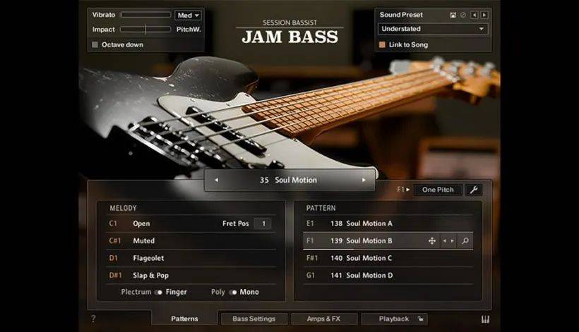 Native Instruments - Session Bassist UPRIGHT BASS (KONTAKT)