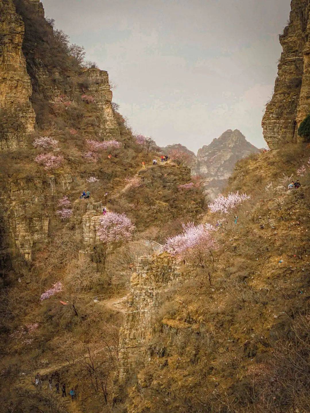 蚕姑坨位于易县西山北乡沙岭村西的蚕姑坨在这里狼牙山东麓一改其险