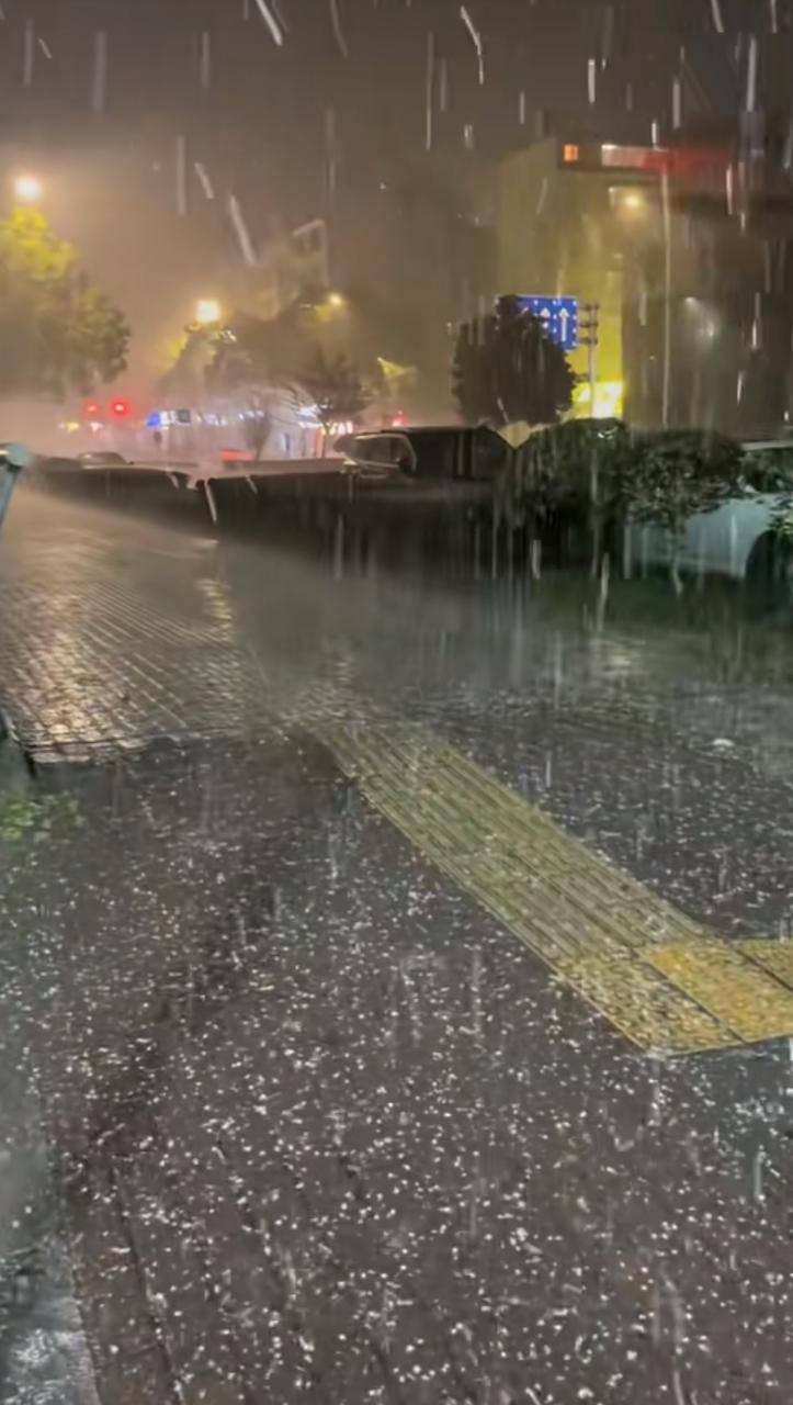 郴州的天气今日情况