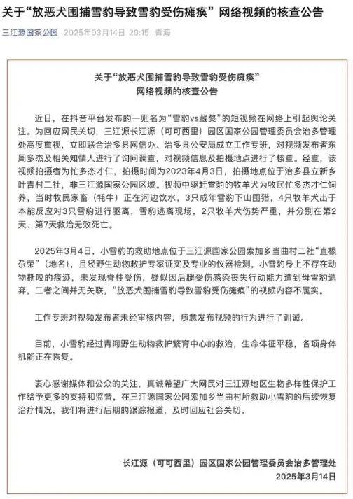放恶犬围捕雪豹致其瘫痪?不实，为牧民的牧羊犬（雪豹被藏獒围攻是哪一集）