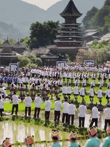 贵州肇兴侗寨：探寻源远流长的侗族文化密码，探秘贵州肇兴侗寨：领略侗族文化的独特魅力
