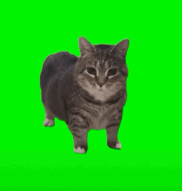 网络视频的流行梗也成为了商场线下拿捏受众,线上传播出圈的有效素材