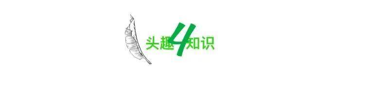 借住亲戚家：是享受便利还是破坏情谊？