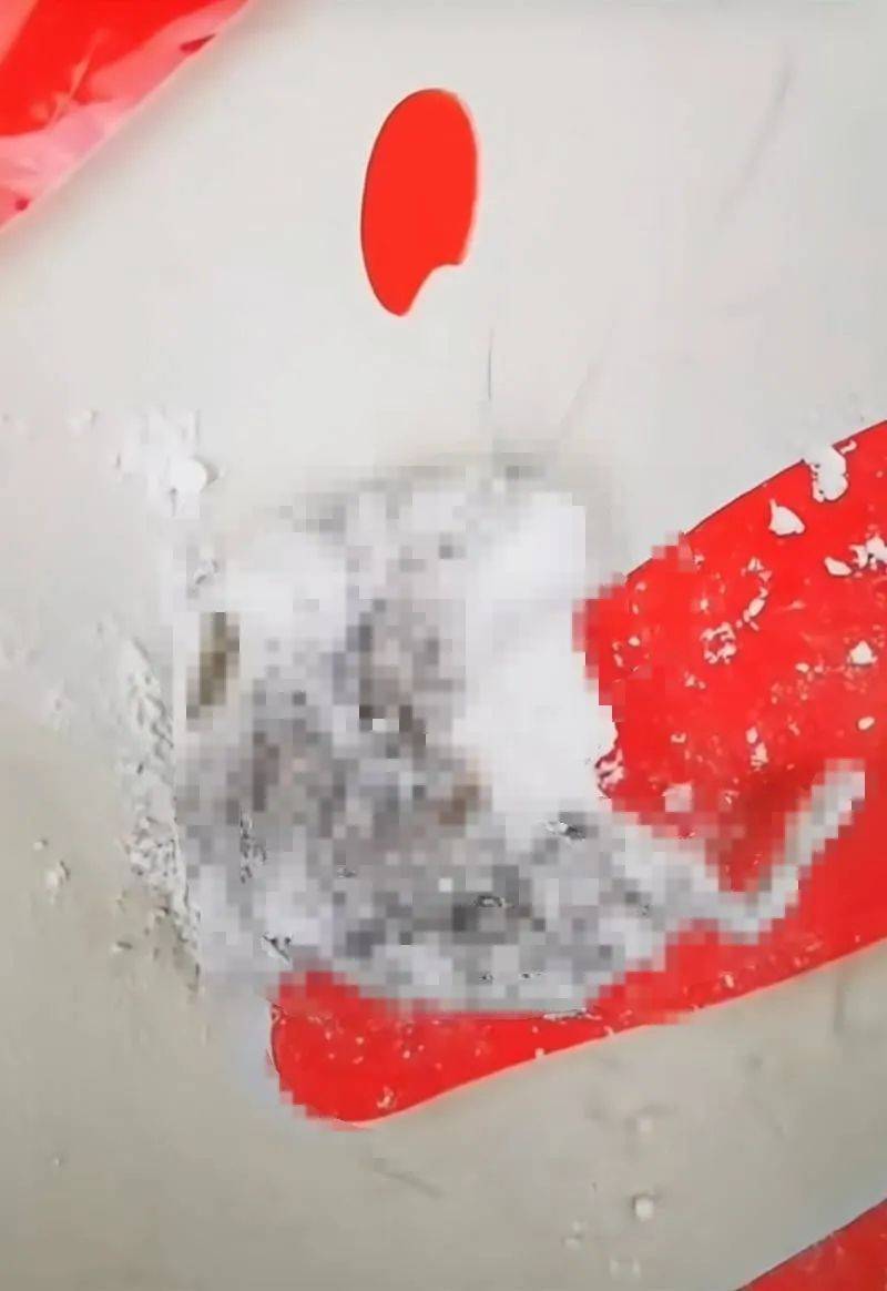 网曝秋田满满婴童面粉有死老鼠，当事人：品牌要求检测老鼠年龄和死亡时间